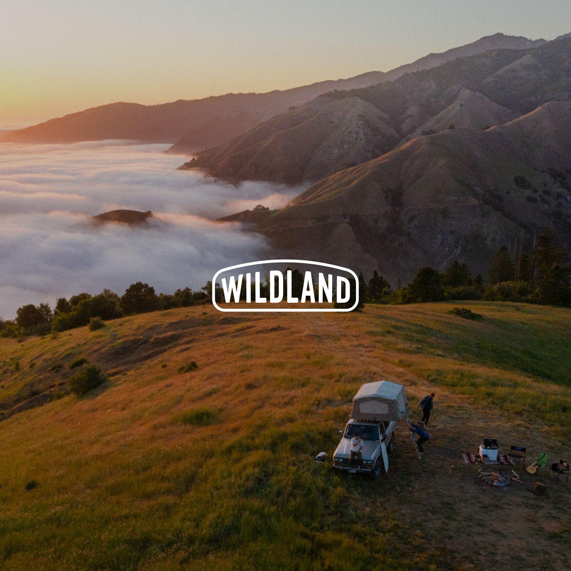 Company & Product Launch